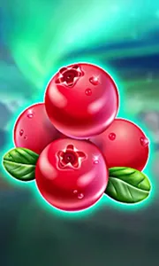 Winterberries