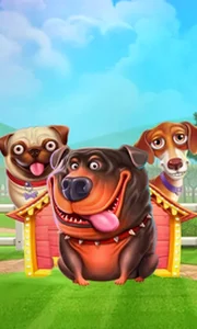 The Dog House